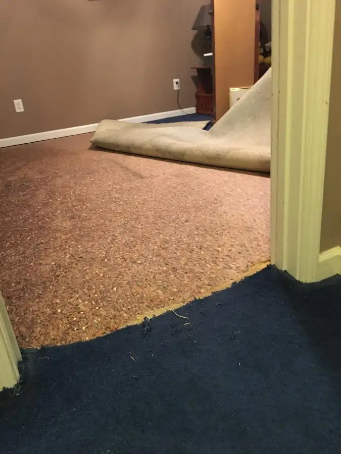 Carpet pad removal revealing water damage during Water Mitigation Services in Rockville